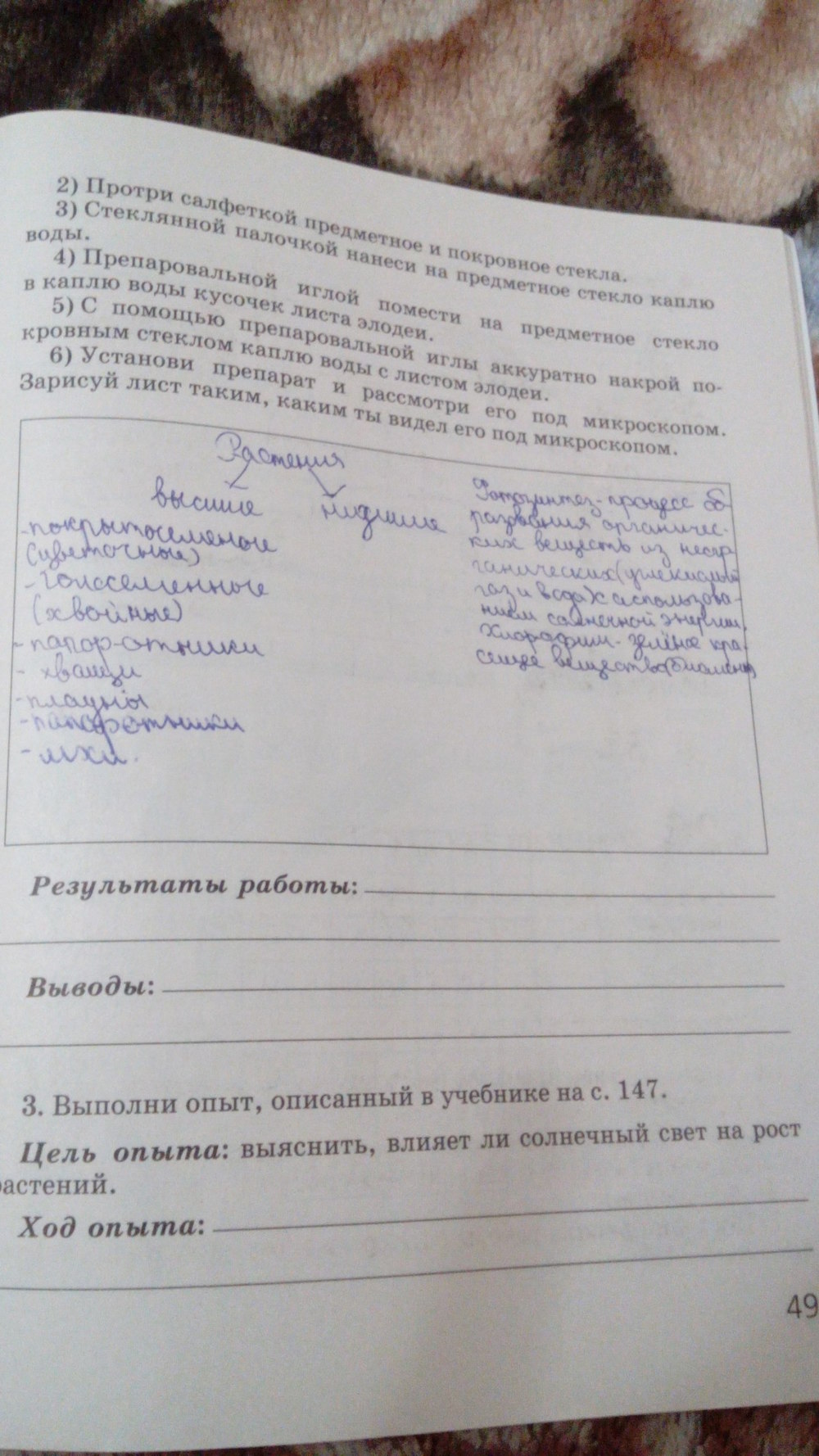 Рабочая тетрадь, 5 класс, Сивоглазов В.И., Суматохин С.В., 2005, задание: стр. 49