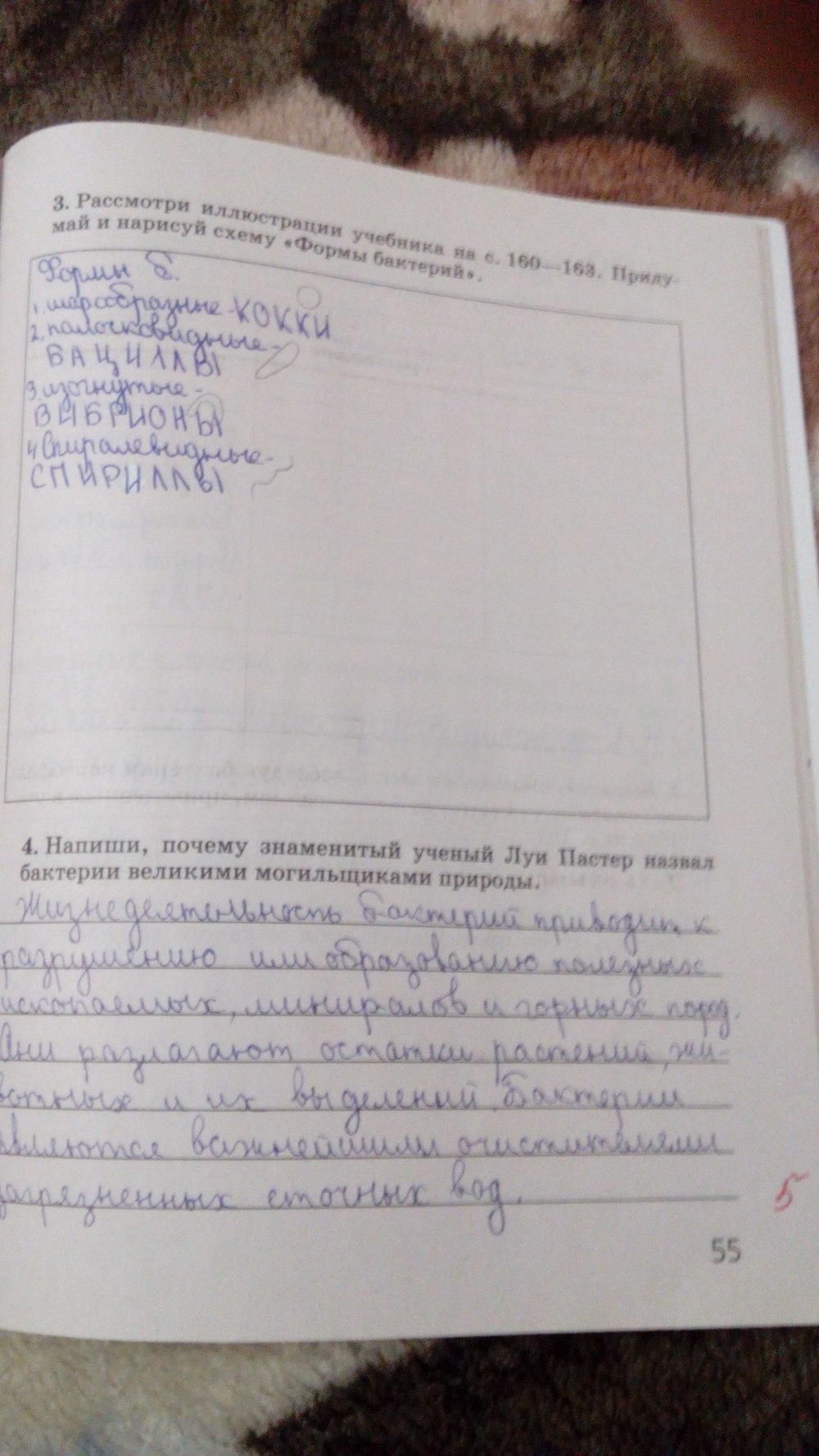 Рабочая тетрадь, 5 класс, Сивоглазов В.И., Суматохин С.В., 2005, задание: стр. 55