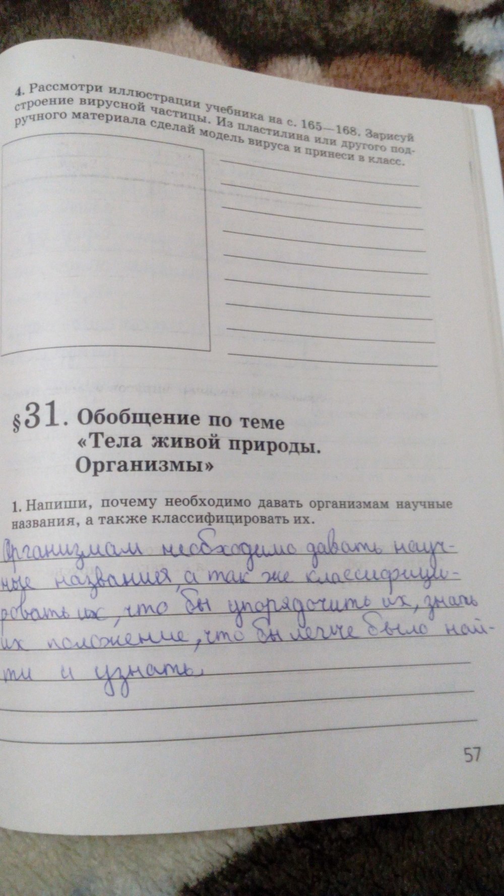 Рабочая тетрадь, 5 класс, Сивоглазов В.И., Суматохин С.В., 2005, задание: стр. 57