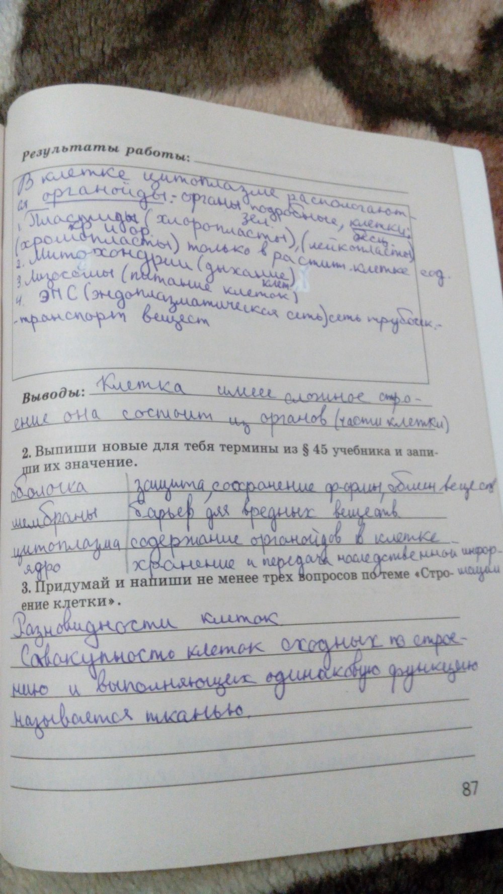 Рабочая тетрадь, 5 класс, Сивоглазов В.И., Суматохин С.В., 2005, задание: стр. 87