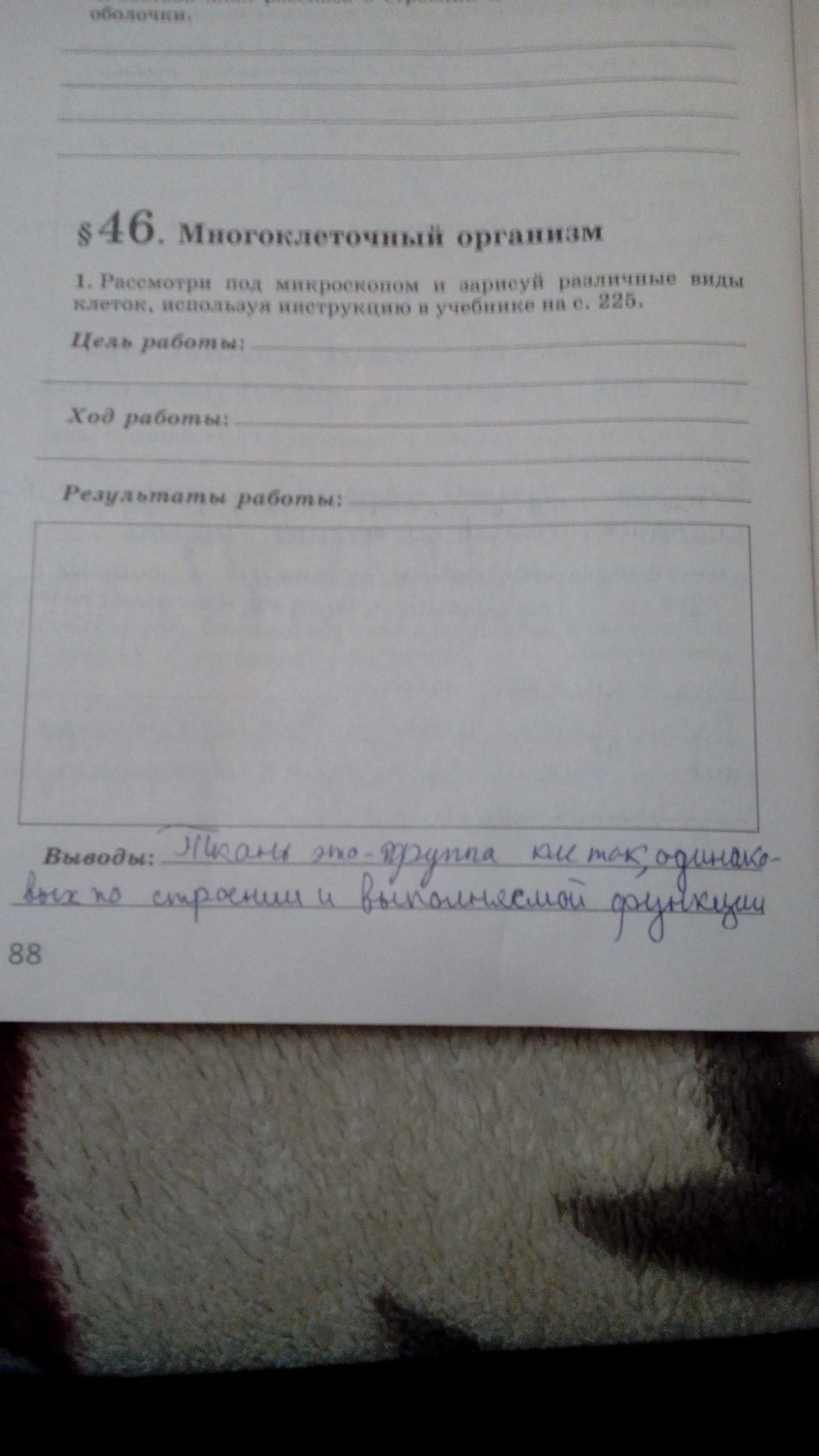 Рабочая тетрадь, 5 класс, Сивоглазов В.И., Суматохин С.В., 2005, задание: стр. 88