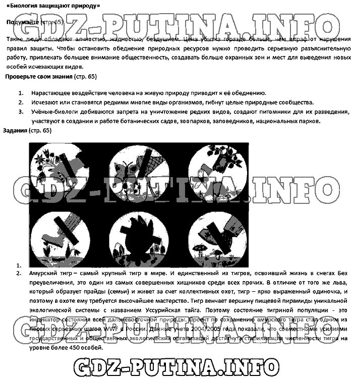 Биология, 5 класс, Плешаков Введенский, 2016, Страница Задача: 65