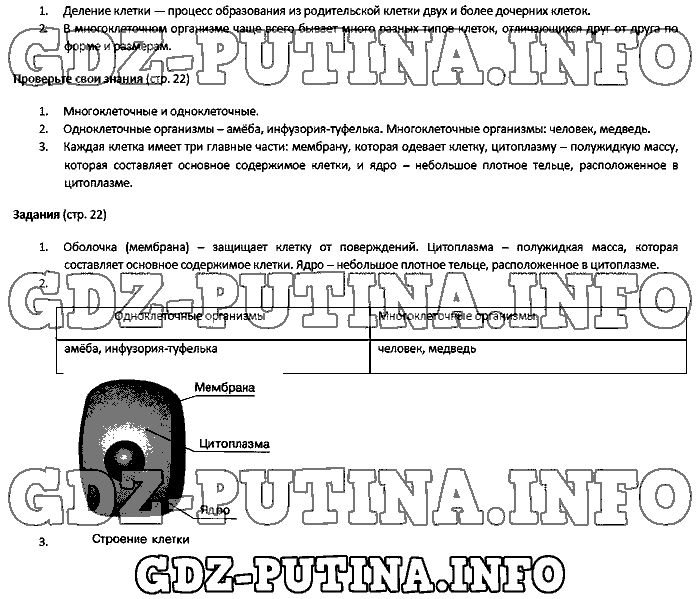 Биология, 5 класс, Плешаков Введенский, 2016, Страница Задача: 22