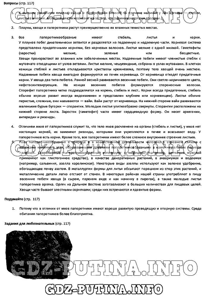 Учебник. Бактерии. Грибы. Растения, 5 класс, Пасечник, 2015, Страница Задача: 117
