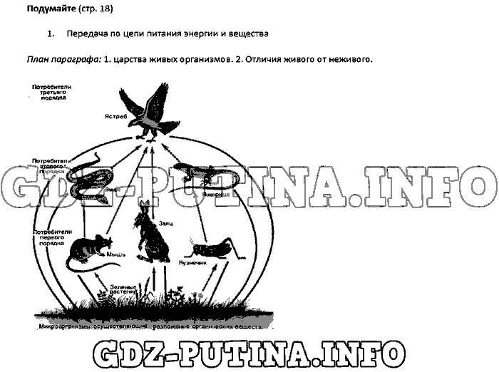 Учебник. Бактерии. Грибы. Растения, 5 класс, Пасечник, 2015, Страница Задача: 18