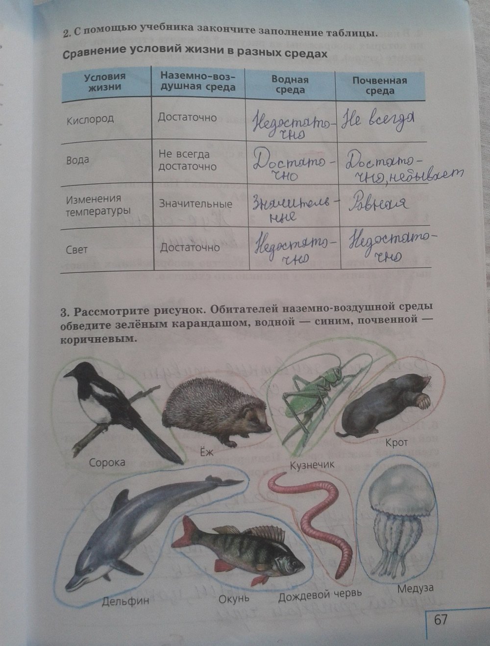 Рабочая тетрадь: Природоведение, 5 класс, Плешаков, Сонин, 2011, задача: стр. 67
