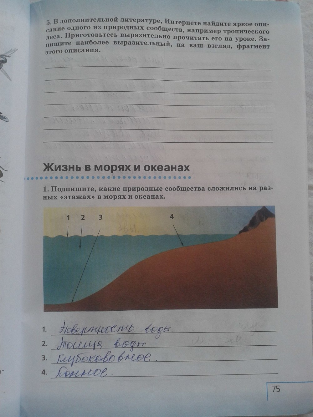 Рабочая тетрадь: Природоведение, 5 класс, Плешаков, Сонин, 2011, задача: стр. 75