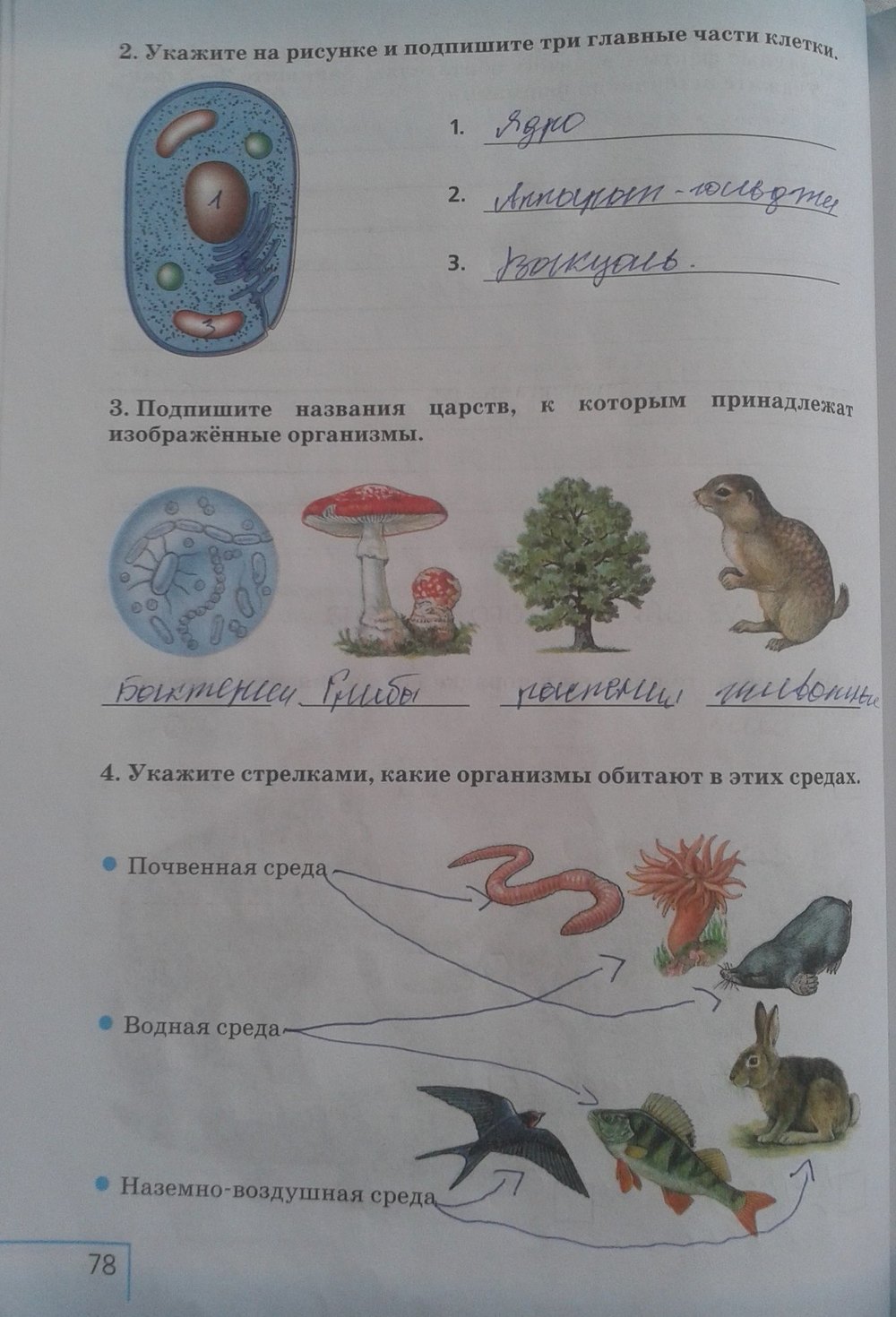 Рабочая тетрадь: Природоведение, 5 класс, Плешаков, Сонин, 2011, задача: стр. 78