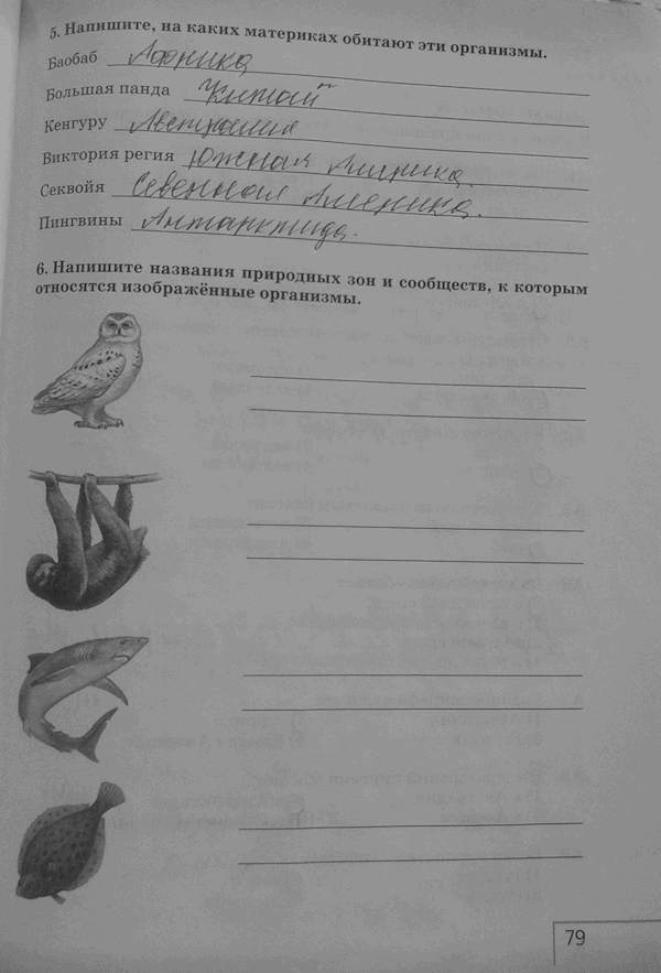 Рабочая тетрадь: Природоведение, 5 класс, Плешаков, Сонин, 2011, задача: стр. 79