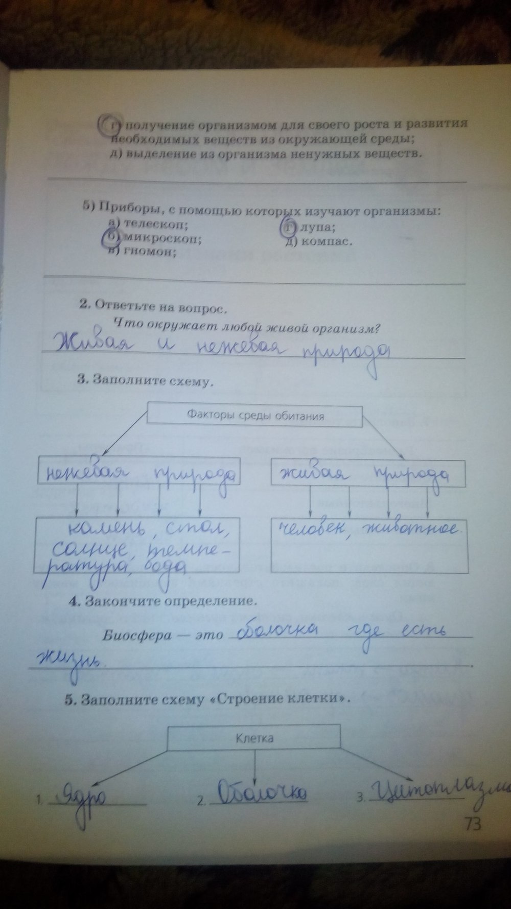 Рабочая тетрадь. Природа. Неживая и живая, 5 класс, Пакулова В.М, 2011, задание: стр. 73