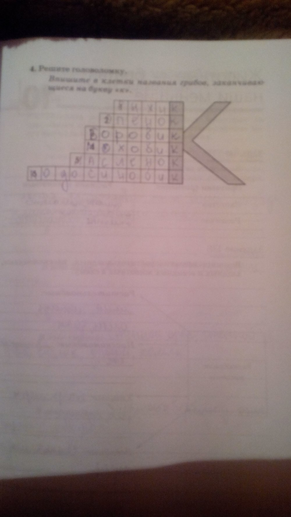 Рабочая тетрадь. Природа. Неживая и живая, 5 класс, Пакулова В.М, 2011, задание: стр. 91