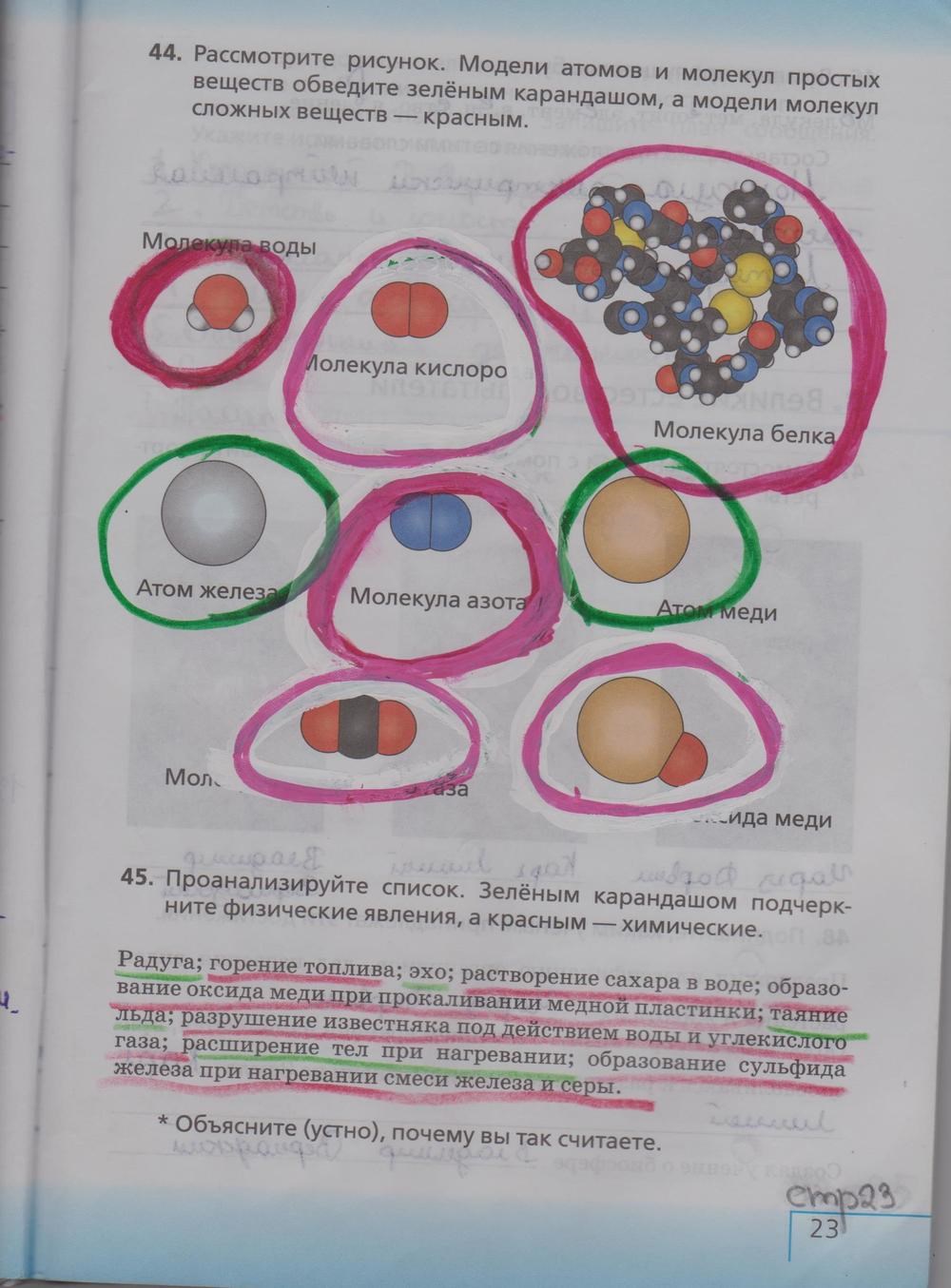 Рабочая тетрадь, 5 класс, Сонин Н.И., 2013 - 2015, задание: стр. 23