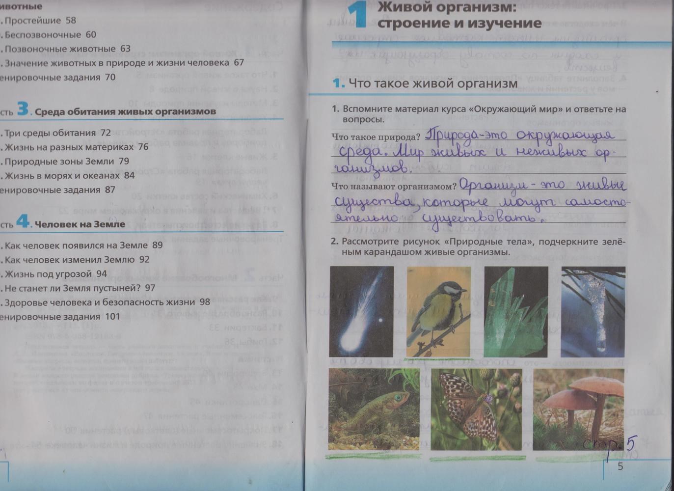 Биология 5 класс учебник стр 143. Биология 5 класс Плешаков Сонин. Биология 5 класс рабочая тетрадь Сивоглазов Плешаков. Учебник по биологии 5 класс. Биология 5 класс задания.