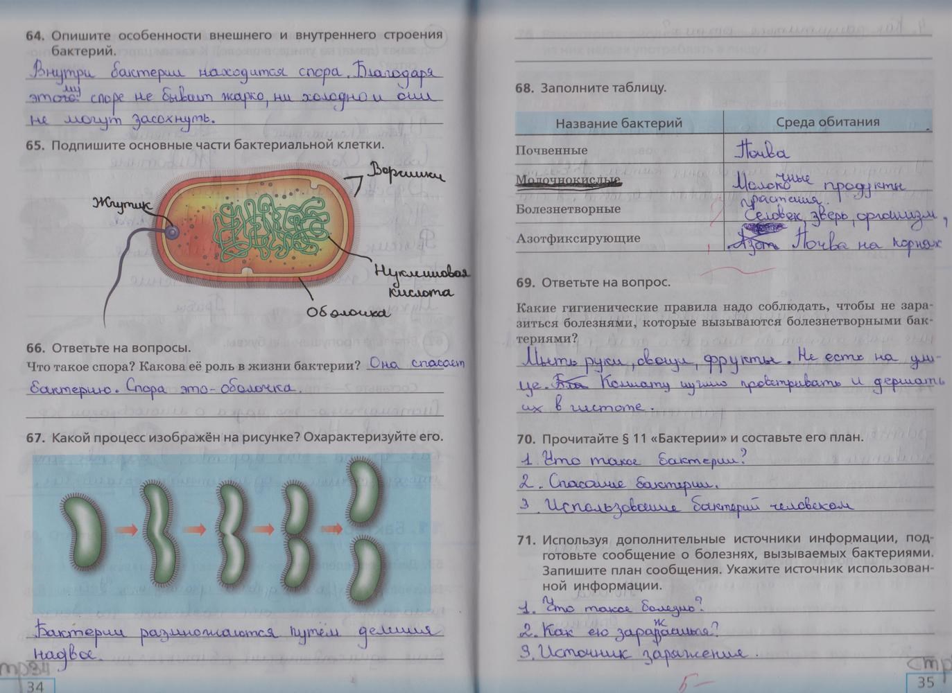 Рабочая тетрадь, 5 класс, Сонин Н.И., 2013 - 2015, задание: стр. 34-35