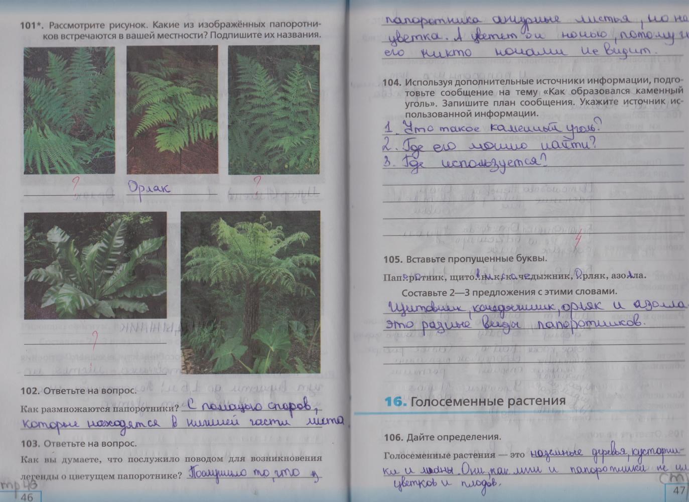 Рабочая тетрадь, 5 класс, Сонин Н.И., 2013 - 2015, задание: стр. 46-47