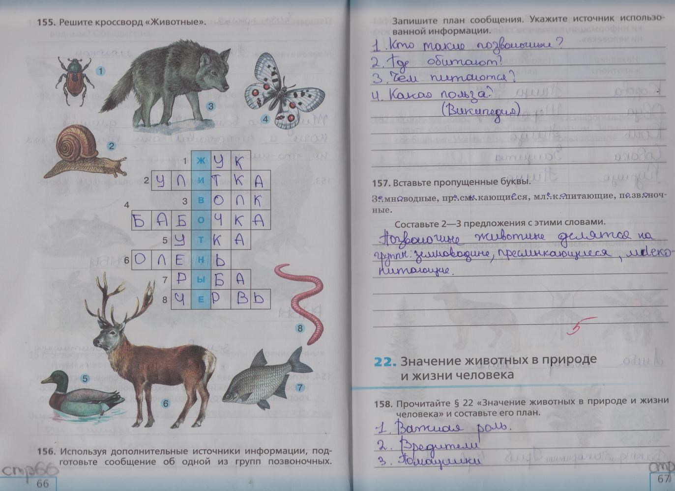 Рабочая тетрадь, 5 класс, Сонин Н.И., 2013 - 2015, задание: стр. 66-67