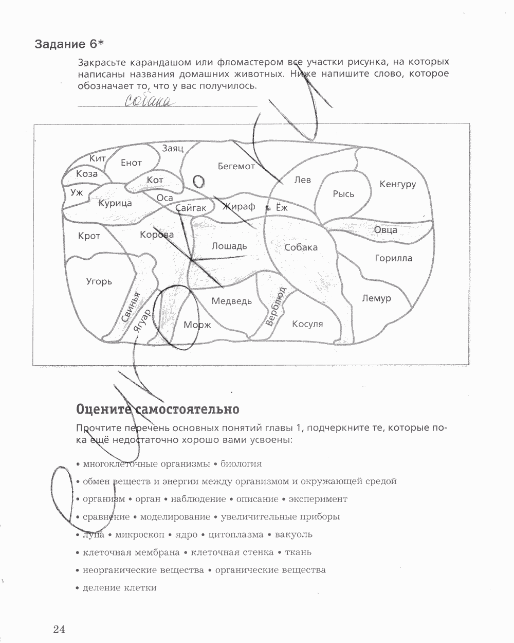 Рабочая тетрадь, 5 класс, Корнилова О.А., Николаев И.В., 2010 - 2015, задание: стр. 24