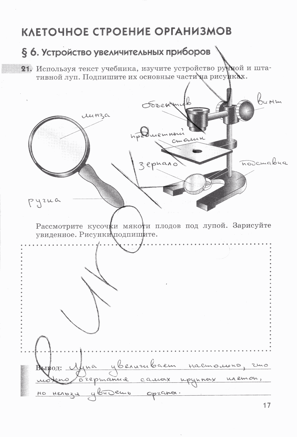 Рабочая тетрадь, 5 класс, Пасечник В.В., 2013 - 2016, задание: стр. 17