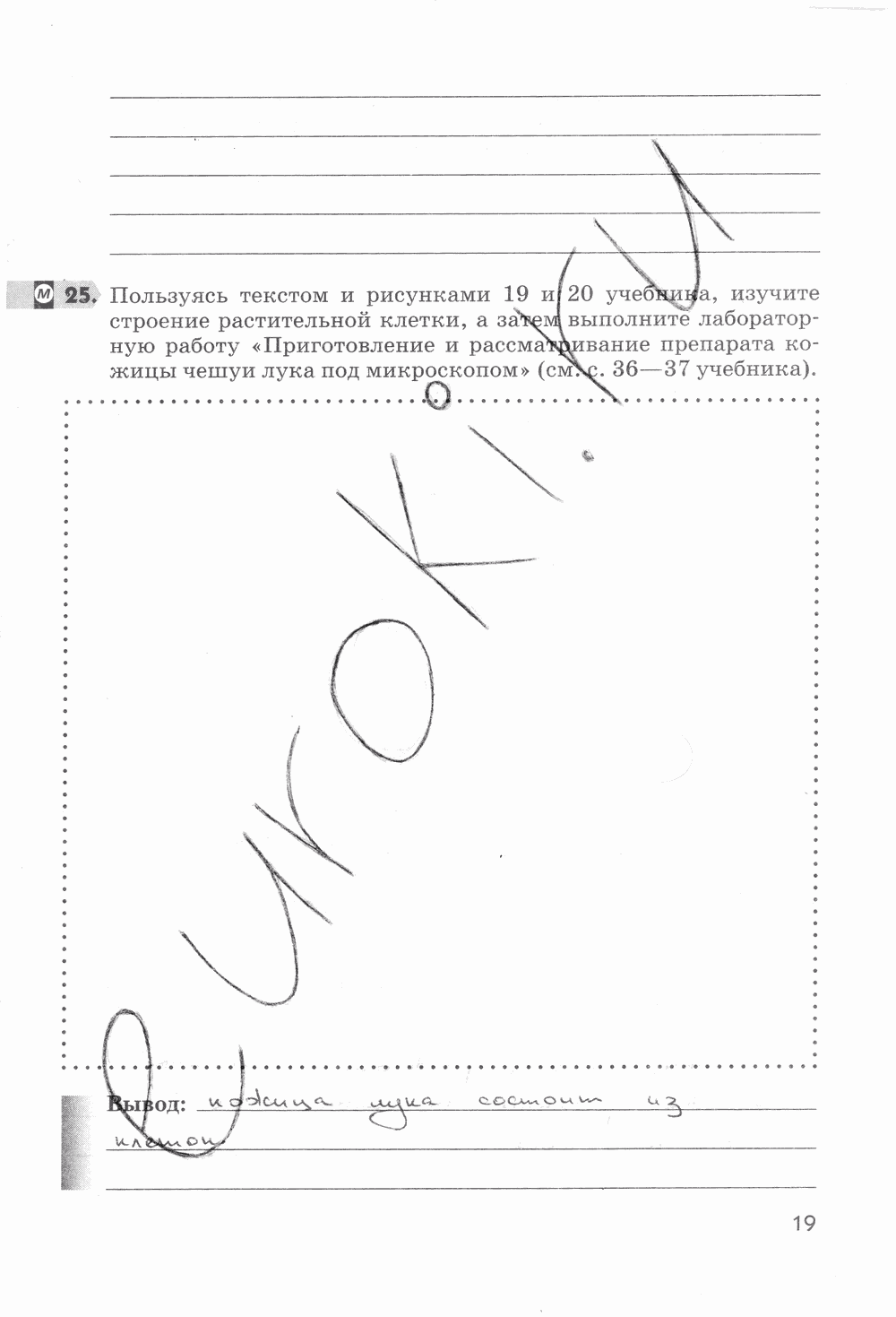 Рабочая тетрадь, 5 класс, Пасечник В.В., 2013 - 2016, задание: стр. 19
