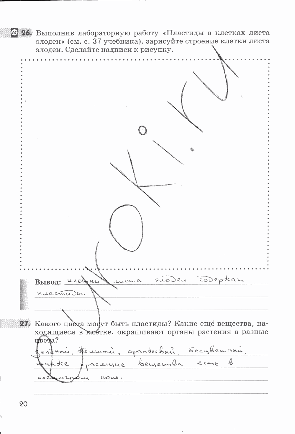 Рабочая тетрадь, 5 класс, Пасечник В.В., 2013 - 2016, задание: стр. 20