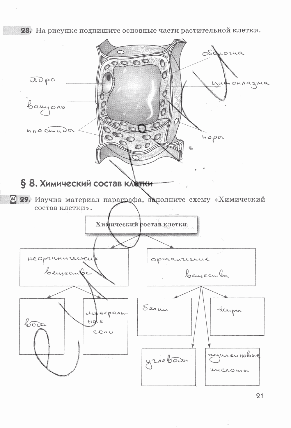 Рабочая тетрадь, 5 класс, Пасечник В.В., 2013 - 2016, задание: стр. 21