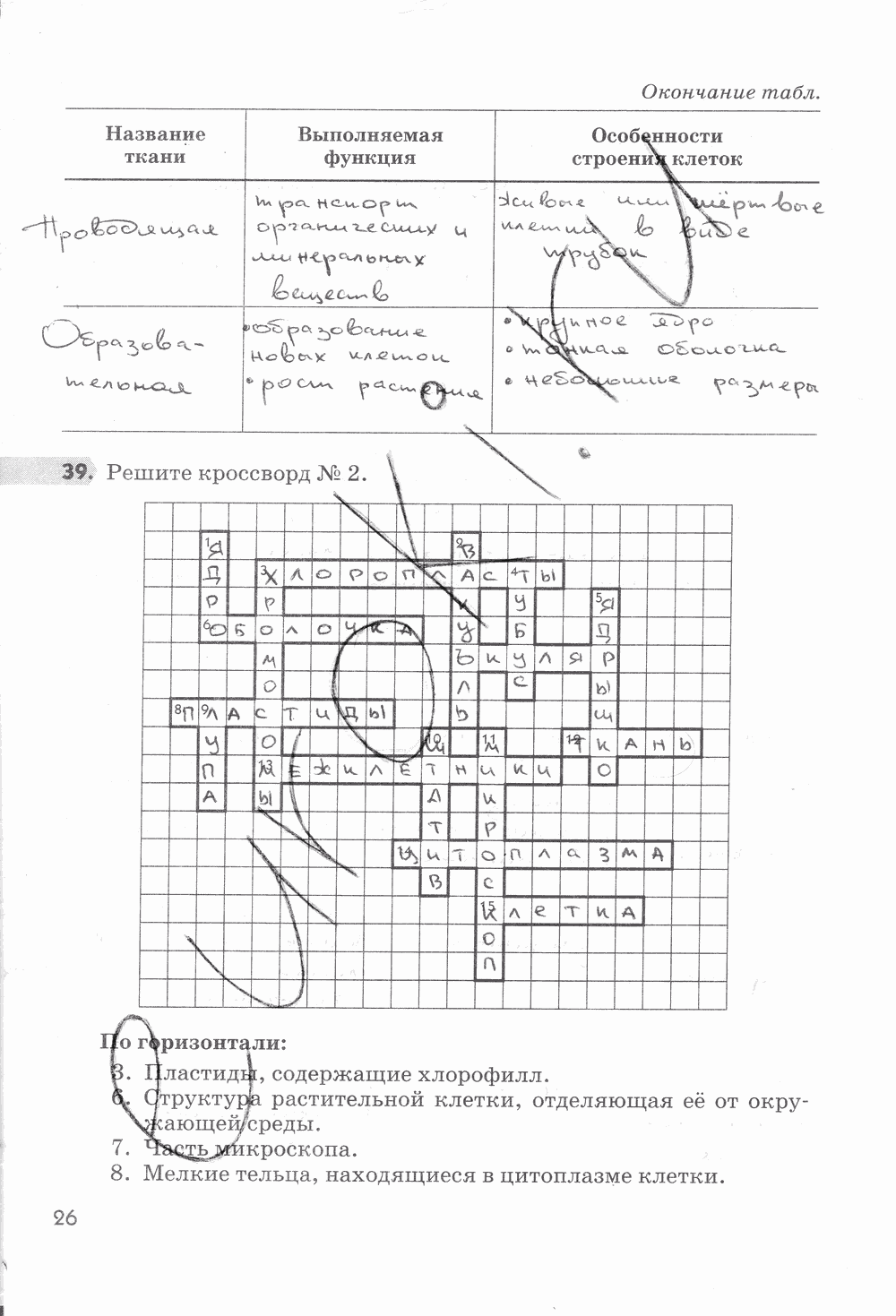 Рабочая тетрадь, 5 класс, Пасечник В.В., 2013 - 2016, задание: стр. 26