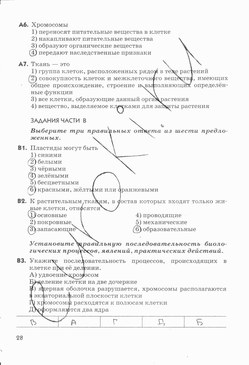Рабочая тетрадь, 5 класс, Пасечник В.В., 2013 - 2016, задание: стр. 28