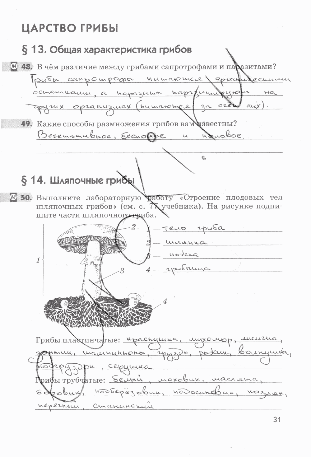 Рабочая тетрадь, 5 класс, Пасечник В.В., 2013 - 2016, задание: стр. 31