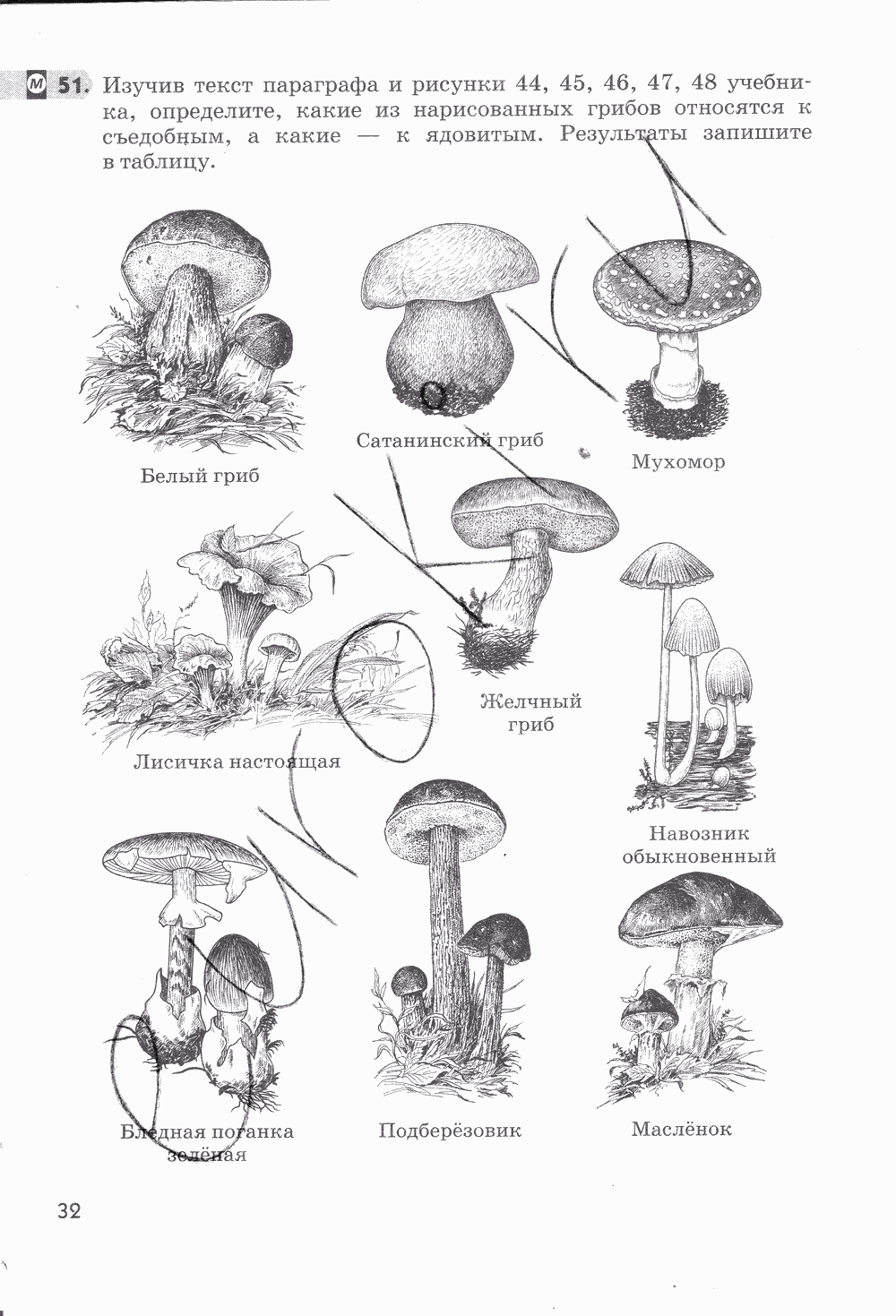 Рабочая тетрадь, 5 класс, Пасечник В.В., 2013 - 2016, задание: стр. 32