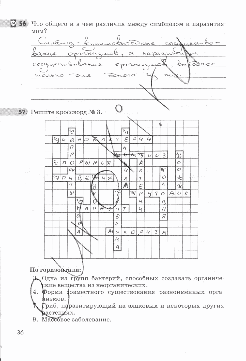 Рабочая тетрадь, 5 класс, Пасечник В.В., 2013 - 2016, задание: стр. 36