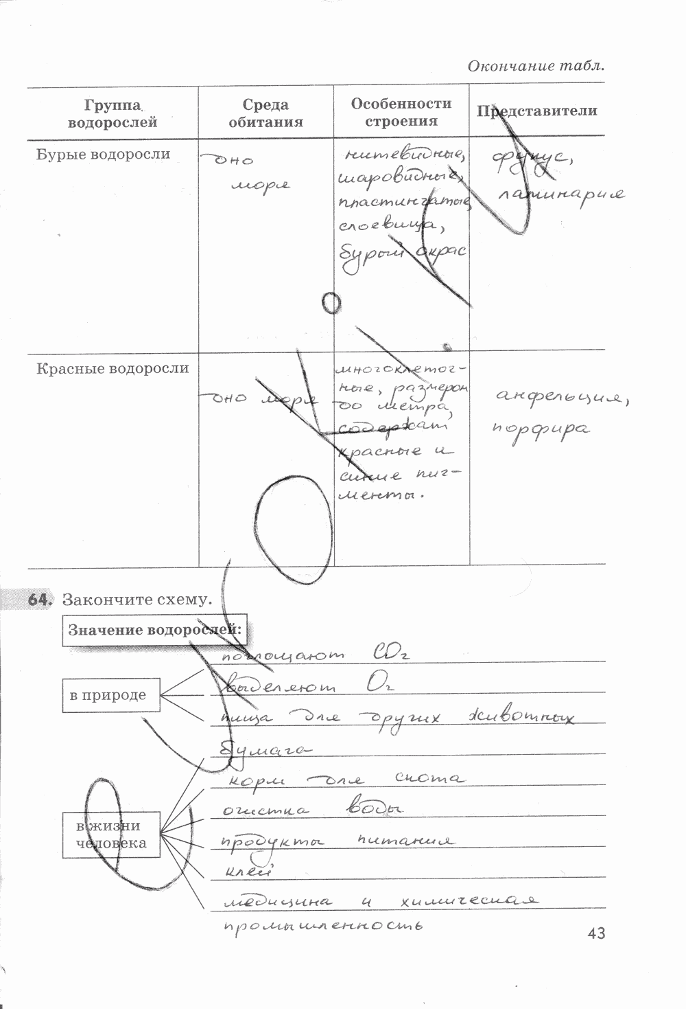 Рабочая тетрадь, 5 класс, Пасечник В.В., 2013 - 2016, задание: стр. 43