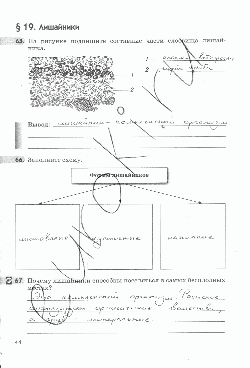 Рабочая тетрадь, 5 класс, Пасечник В.В., 2013 - 2016, задание: стр. 44