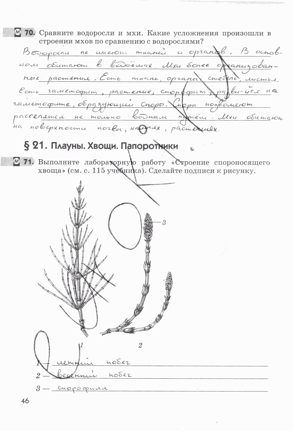 Рабочая тетрадь, 5 класс, Пасечник В.В., 2013 - 2016, задание: стр. 46