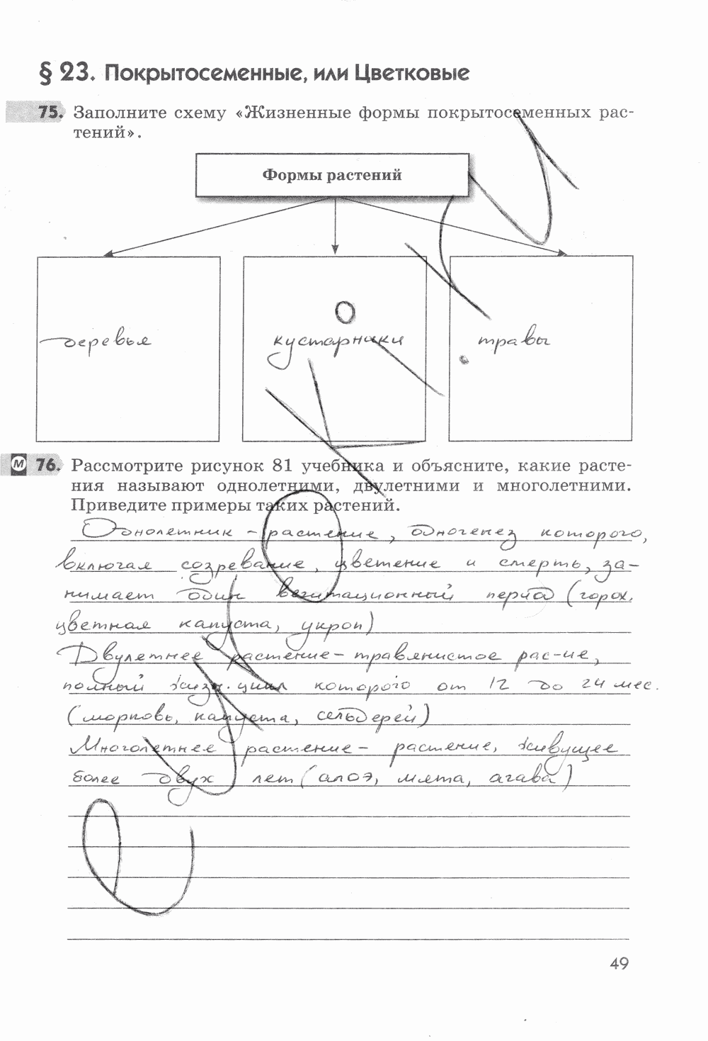 Рабочая тетрадь, 5 класс, Пасечник В.В., 2013 - 2016, задание: стр. 49