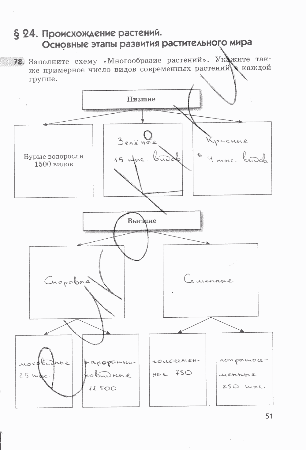 Рабочая тетрадь, 5 класс, Пасечник В.В., 2013 - 2016, задание: стр. 51