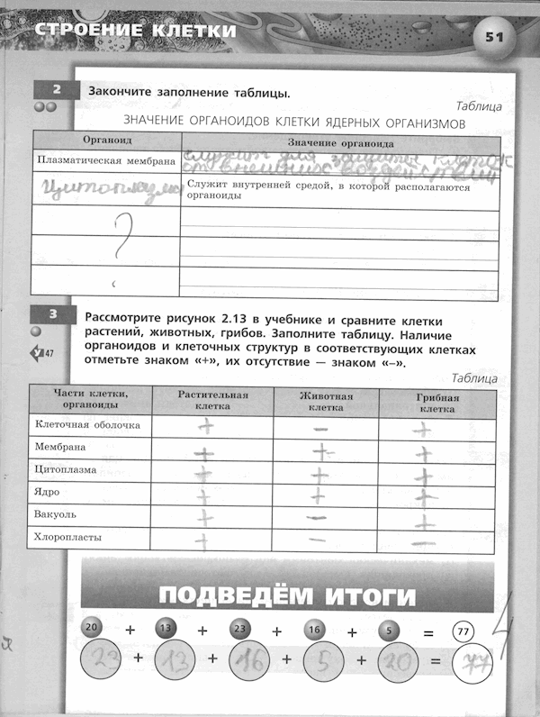 Тетрадь - тренажёр, 5 класс, Сухорукова Л.Н., Кучменко B.C., Дмитриева Е.А., 2013 -2016, задание: стр. 51