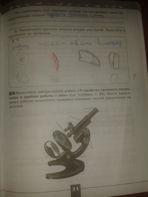 Серия Линия жизни, 5 класс, Пасечник В.В., 2012 - 2015, задание: стр.21