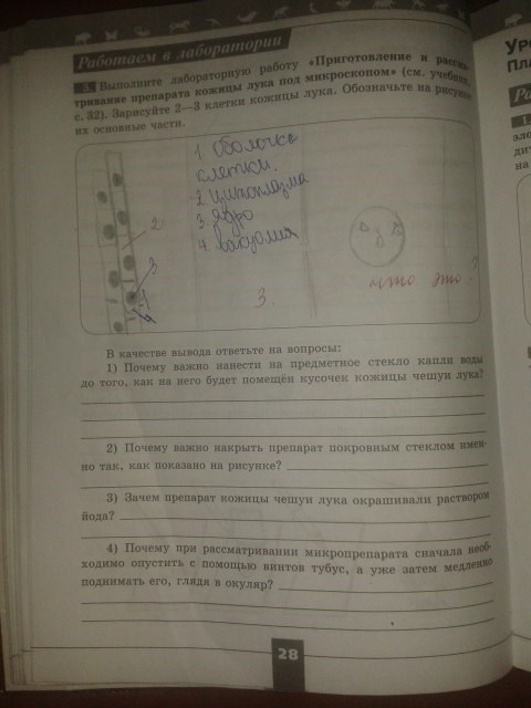 Серия Линия жизни, 5 класс, Пасечник В.В., 2012 - 2015, задание: стр.28