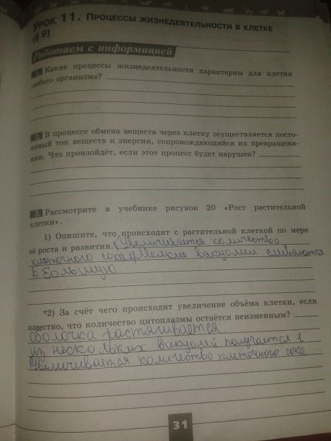 Серия Линия жизни, 5 класс, Пасечник В.В., 2012 - 2015, задание: стр.31