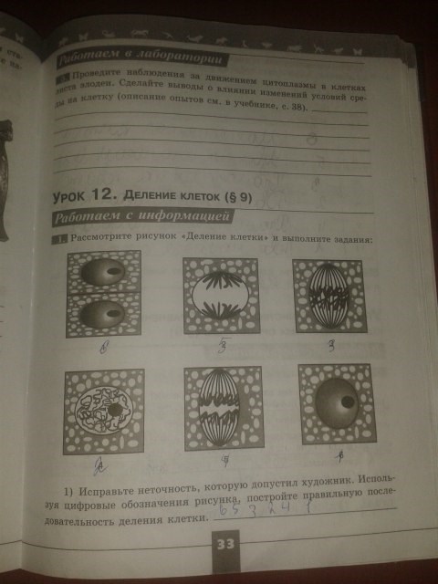 Серия Линия жизни, 5 класс, Пасечник В.В., 2012 - 2015, задание: стр.33