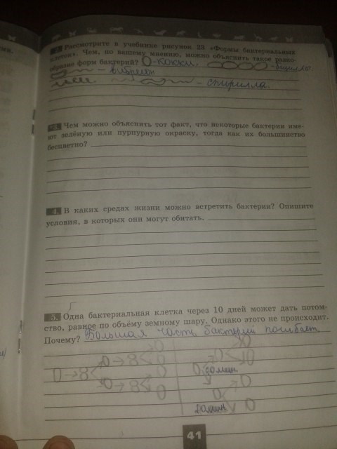 Серия Линия жизни, 5 класс, Пасечник В.В., 2012 - 2015, задание: стр.41