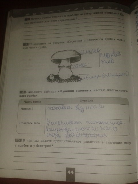 Серия Линия жизни, 5 класс, Пасечник В.В., 2012 - 2015, задание: стр.44