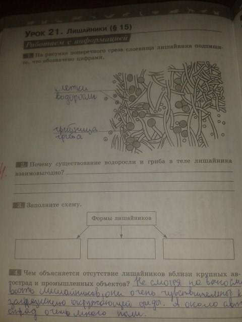 Серия Линия жизни, 5 класс, Пасечник В.В., 2012 - 2015, задание: стр.52