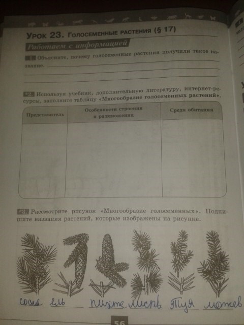 Серия Линия жизни, 5 класс, Пасечник В.В., 2012 - 2015, задание: стр.56