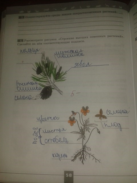 Серия Линия жизни, 5 класс, Пасечник В.В., 2012 - 2015, задание: стр.58