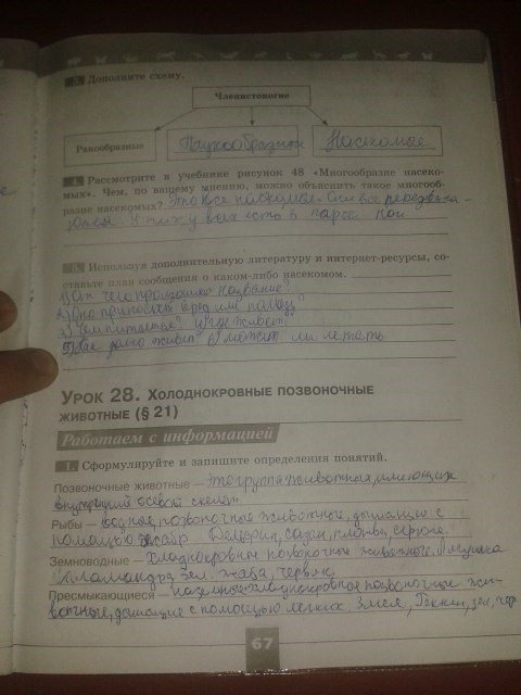 Серия Линия жизни, 5 класс, Пасечник В.В., 2012 - 2015, задание: стр.67