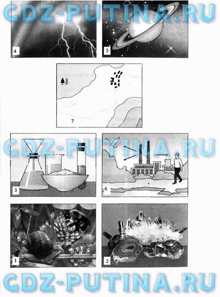 Рабочая тетрадь, 5 класс, Плешаков А.А., Сонин Н.И., 2014 - 2016, задание: 7