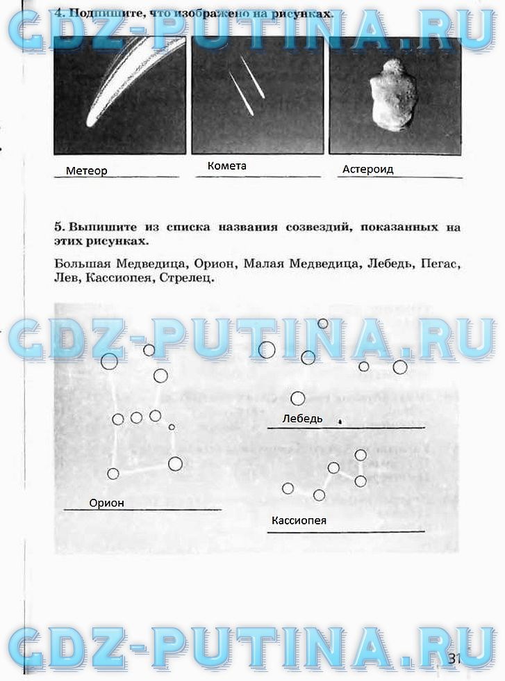 Рабочая тетрадь, 5 класс, Плешаков А.А., Сонин Н.И., 2014 - 2016, задание: 31