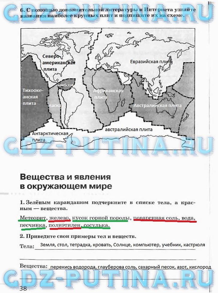 Рабочая тетрадь, 5 класс, Плешаков А.А., Сонин Н.И., 2014 - 2016, задание: 38