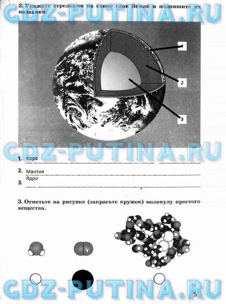 Рабочая тетрадь, 5 класс, Плешаков А.А., Сонин Н.И., 2014 - 2016, задание: 53